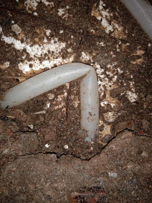 称多堵点精准查找